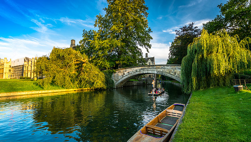 Immersion cambridge